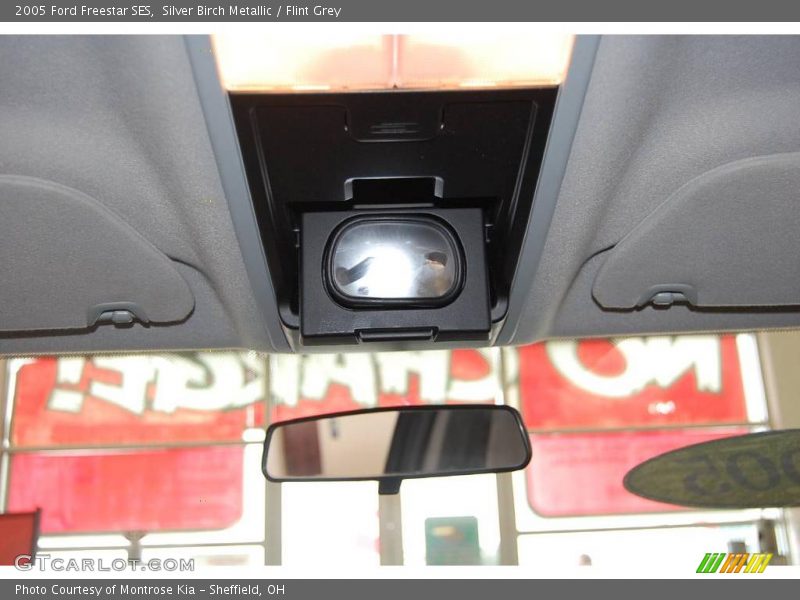 Silver Birch Metallic / Flint Grey 2005 Ford Freestar SES