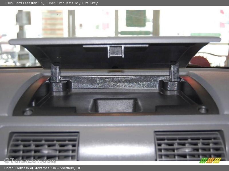 Silver Birch Metallic / Flint Grey 2005 Ford Freestar SES