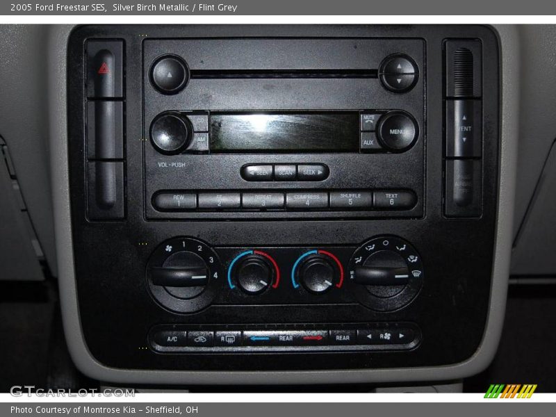 Silver Birch Metallic / Flint Grey 2005 Ford Freestar SES