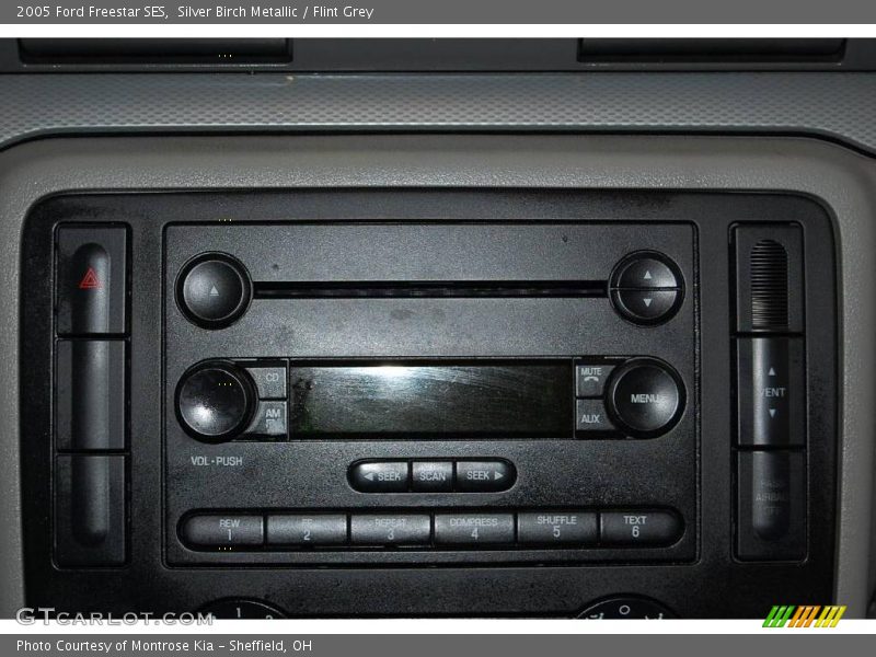 Silver Birch Metallic / Flint Grey 2005 Ford Freestar SES