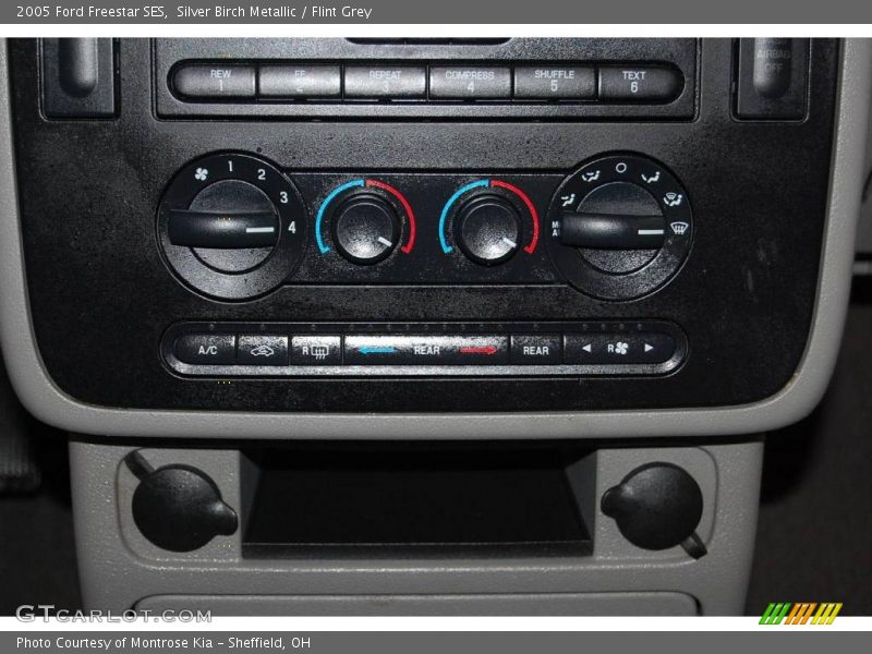 Silver Birch Metallic / Flint Grey 2005 Ford Freestar SES