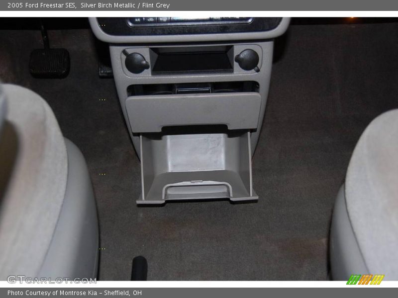 Silver Birch Metallic / Flint Grey 2005 Ford Freestar SES