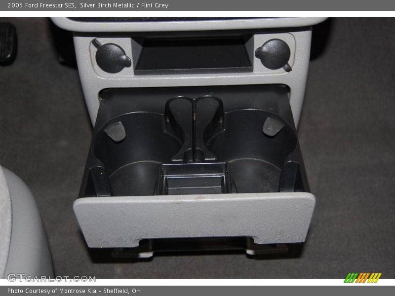 Silver Birch Metallic / Flint Grey 2005 Ford Freestar SES