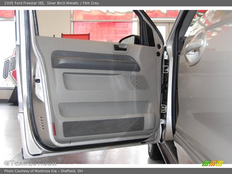 Silver Birch Metallic / Flint Grey 2005 Ford Freestar SES