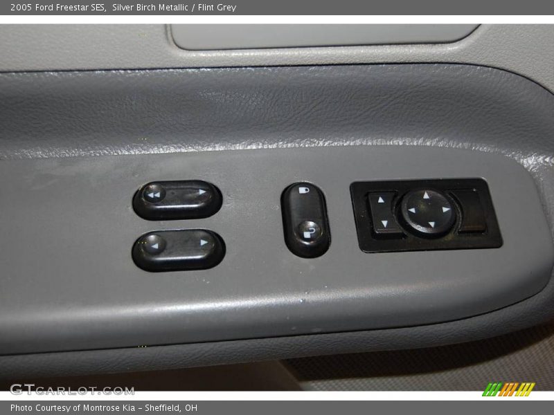 Silver Birch Metallic / Flint Grey 2005 Ford Freestar SES