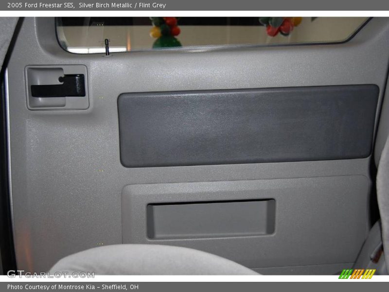 Silver Birch Metallic / Flint Grey 2005 Ford Freestar SES