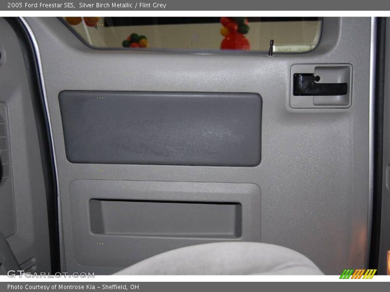 Silver Birch Metallic / Flint Grey 2005 Ford Freestar SES