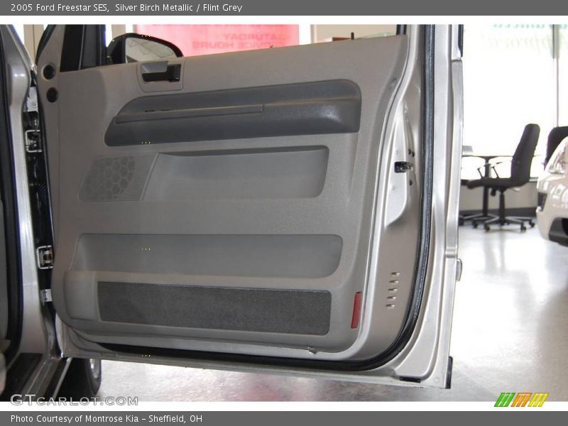 Silver Birch Metallic / Flint Grey 2005 Ford Freestar SES