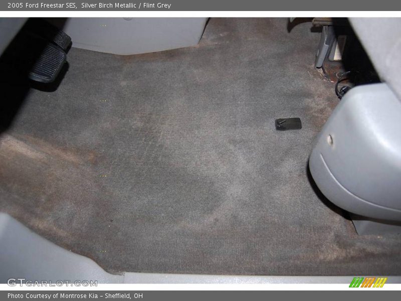 Silver Birch Metallic / Flint Grey 2005 Ford Freestar SES