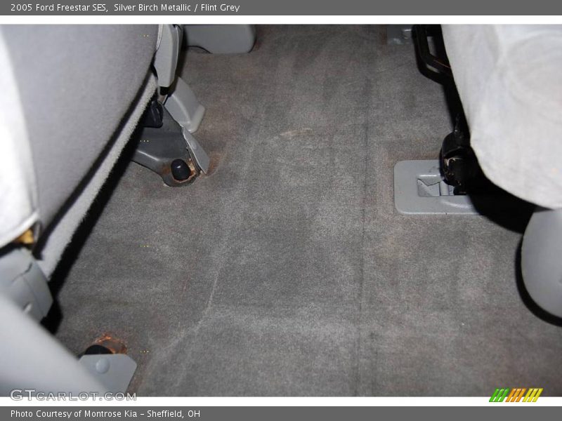 Silver Birch Metallic / Flint Grey 2005 Ford Freestar SES