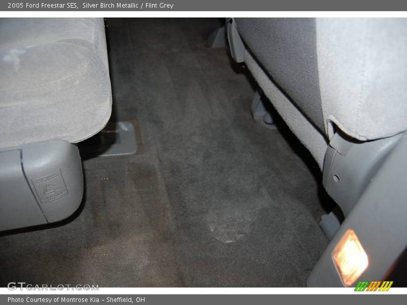 Silver Birch Metallic / Flint Grey 2005 Ford Freestar SES