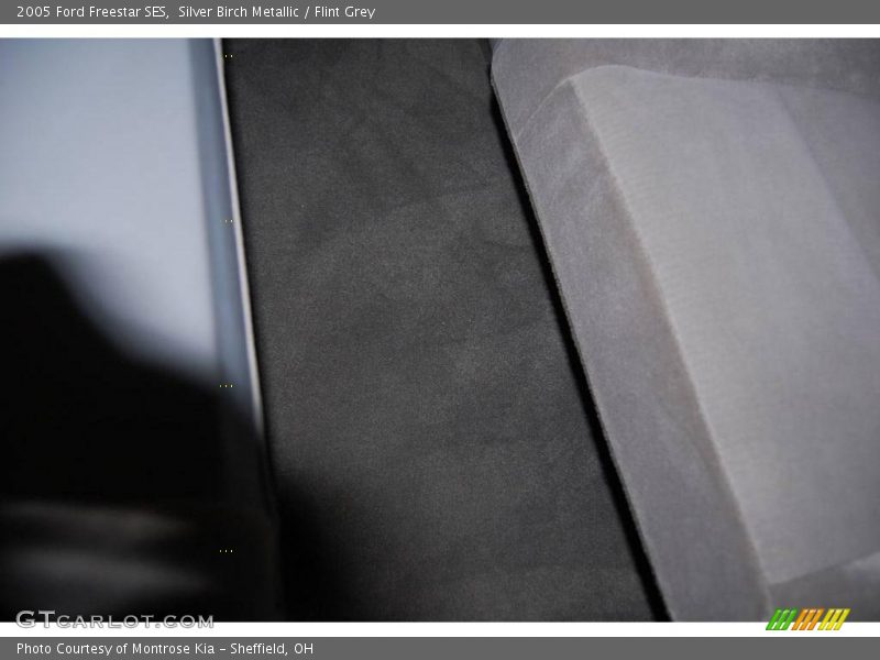 Silver Birch Metallic / Flint Grey 2005 Ford Freestar SES