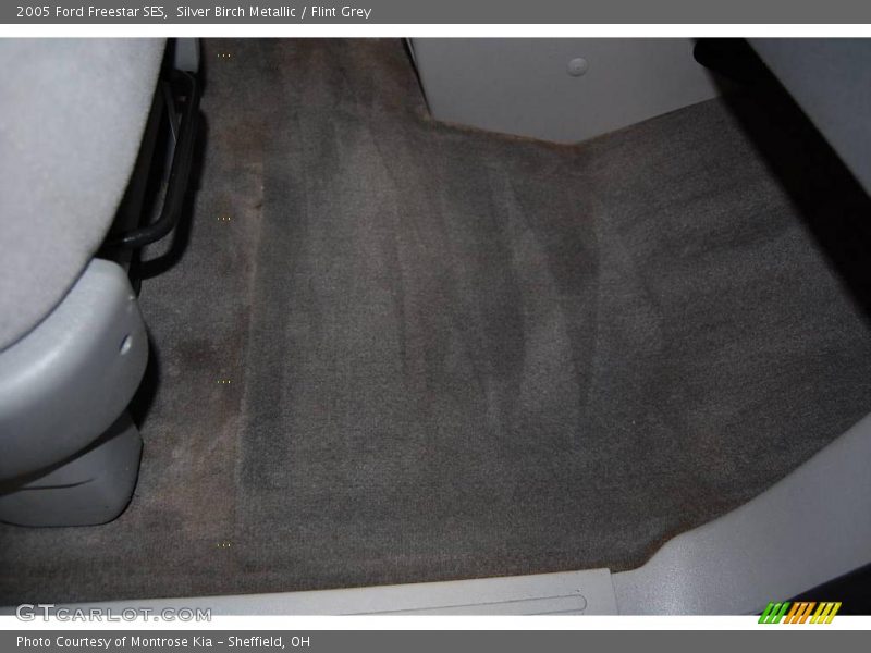 Silver Birch Metallic / Flint Grey 2005 Ford Freestar SES