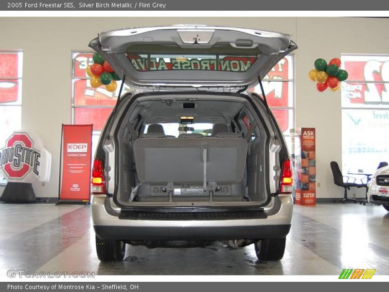Silver Birch Metallic / Flint Grey 2005 Ford Freestar SES