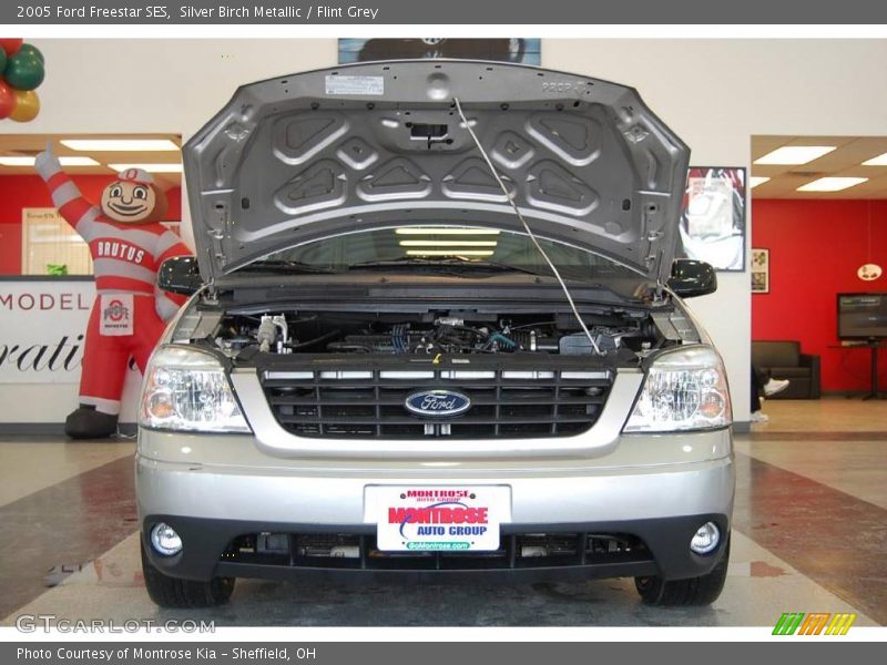 Silver Birch Metallic / Flint Grey 2005 Ford Freestar SES