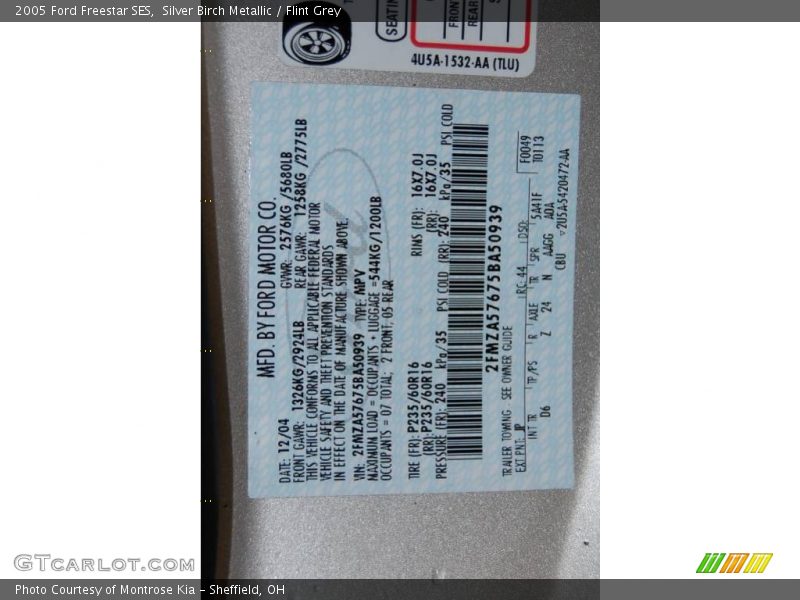 Silver Birch Metallic / Flint Grey 2005 Ford Freestar SES