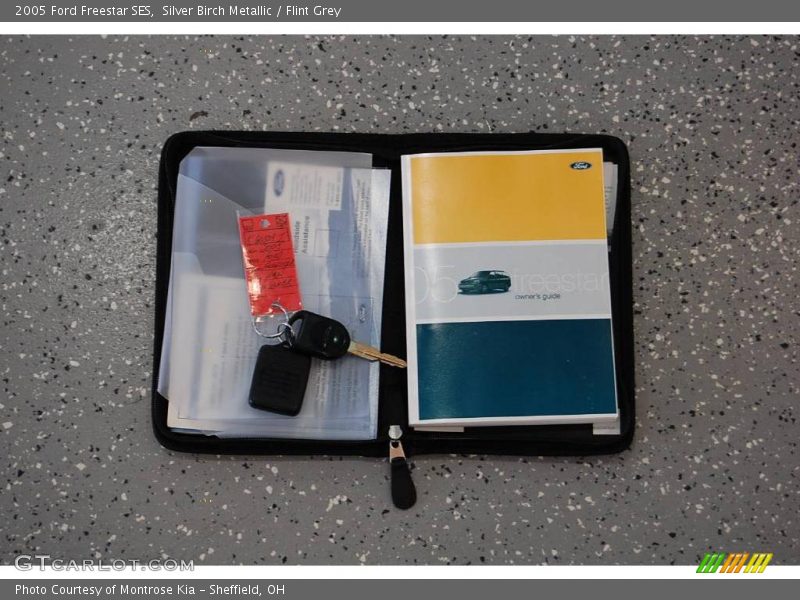 Silver Birch Metallic / Flint Grey 2005 Ford Freestar SES