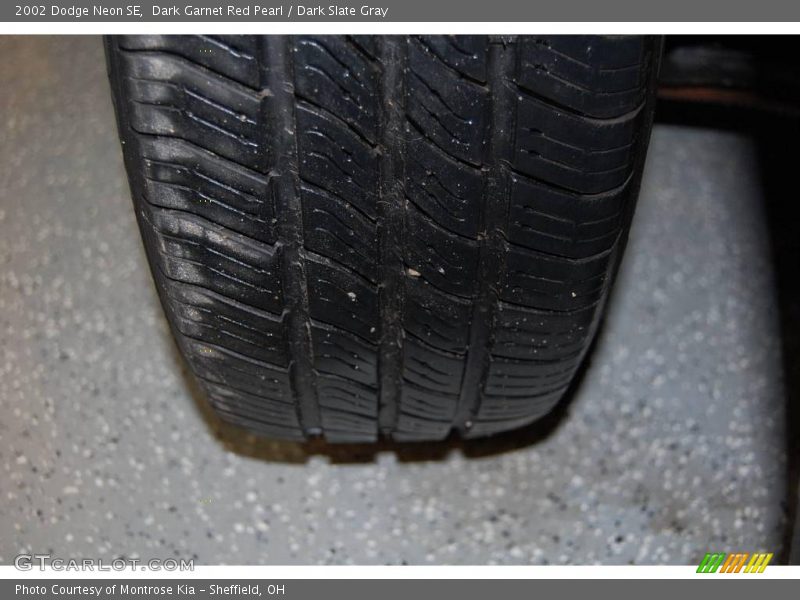 Dark Garnet Red Pearl / Dark Slate Gray 2002 Dodge Neon SE