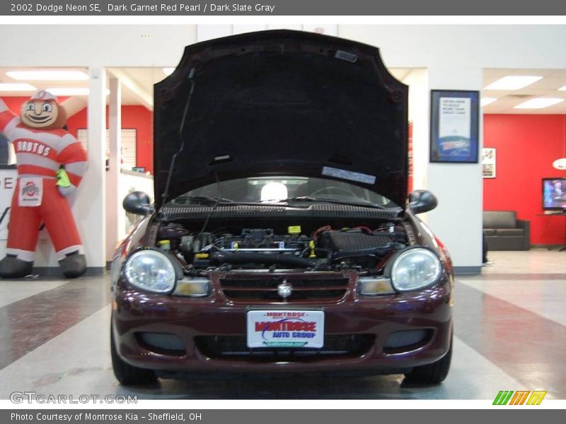 Dark Garnet Red Pearl / Dark Slate Gray 2002 Dodge Neon SE