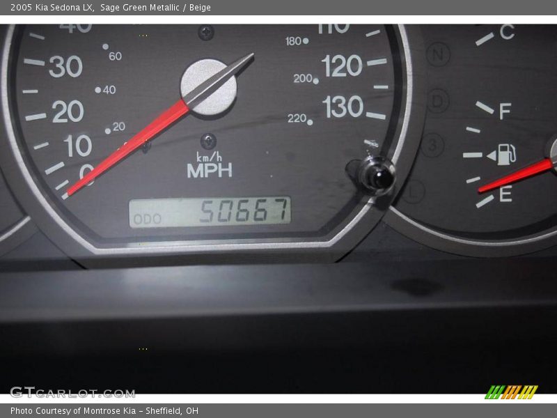 Sage Green Metallic / Beige 2005 Kia Sedona LX