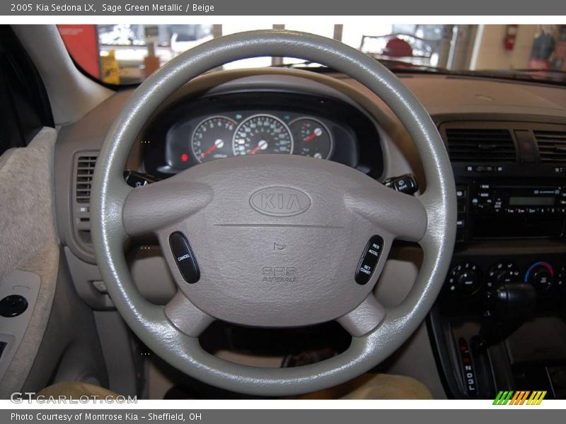 Sage Green Metallic / Beige 2005 Kia Sedona LX