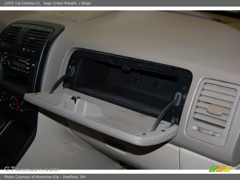 Sage Green Metallic / Beige 2005 Kia Sedona LX