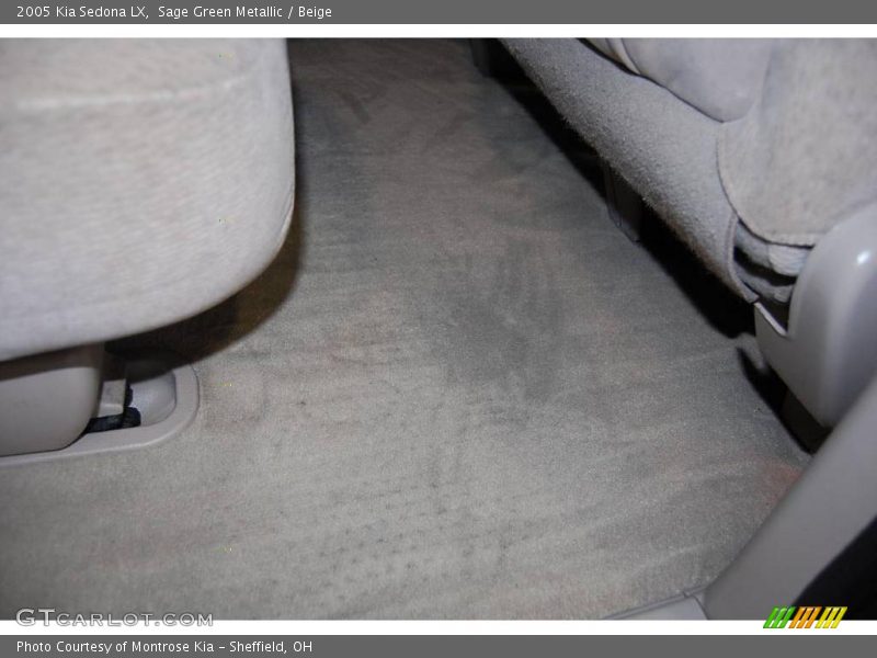 Sage Green Metallic / Beige 2005 Kia Sedona LX