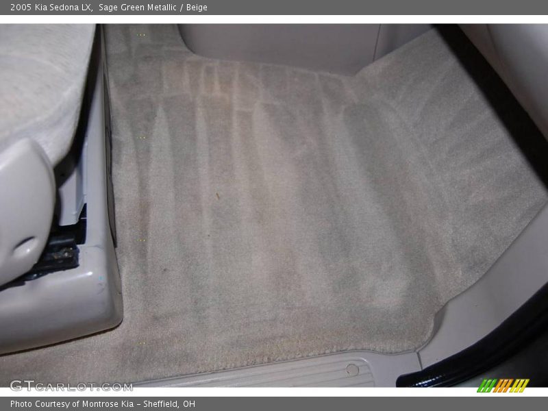Sage Green Metallic / Beige 2005 Kia Sedona LX