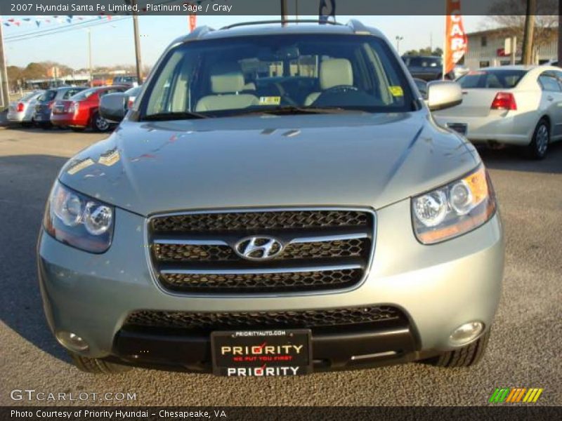 Platinum Sage / Gray 2007 Hyundai Santa Fe Limited