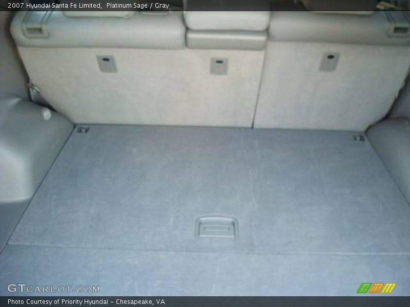 Platinum Sage / Gray 2007 Hyundai Santa Fe Limited