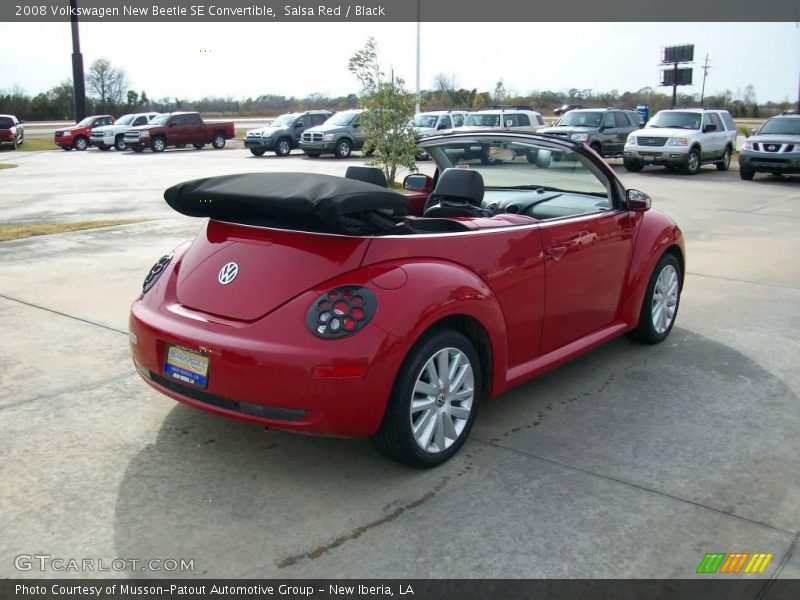 Salsa Red / Black 2008 Volkswagen New Beetle SE Convertible