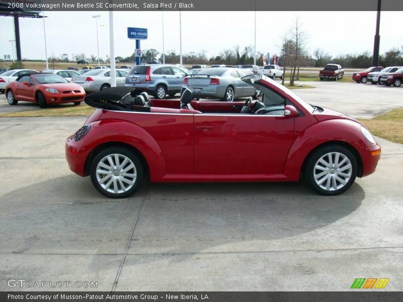 Salsa Red / Black 2008 Volkswagen New Beetle SE Convertible