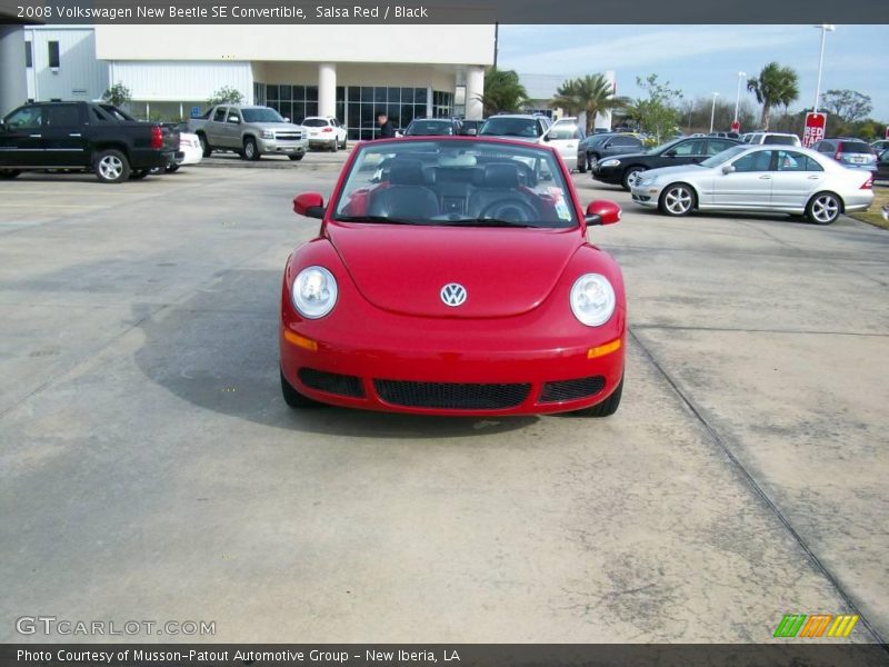 Salsa Red / Black 2008 Volkswagen New Beetle SE Convertible