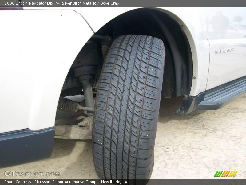 Silver Birch Metallic / Dove Grey 2006 Lincoln Navigator Luxury