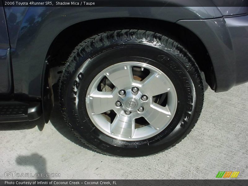 Shadow Mica / Taupe 2006 Toyota 4Runner SR5