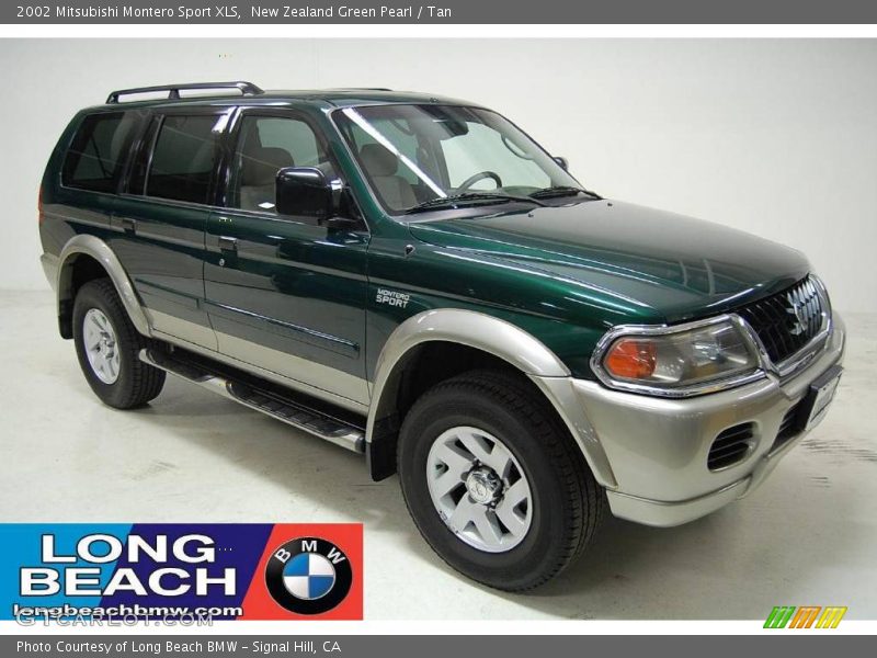 New Zealand Green Pearl / Tan 2002 Mitsubishi Montero Sport XLS