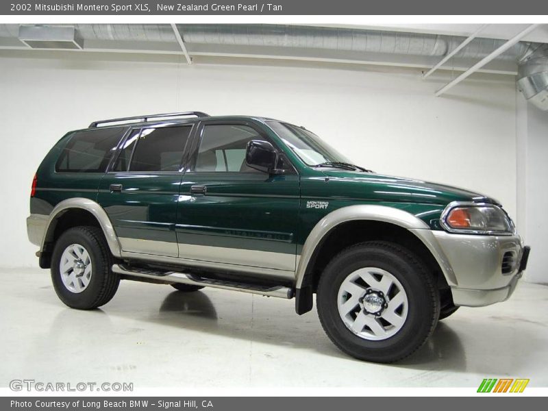 New Zealand Green Pearl / Tan 2002 Mitsubishi Montero Sport XLS