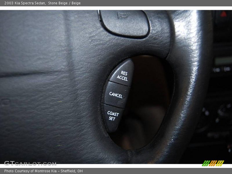 Stone Beige / Beige 2003 Kia Spectra Sedan