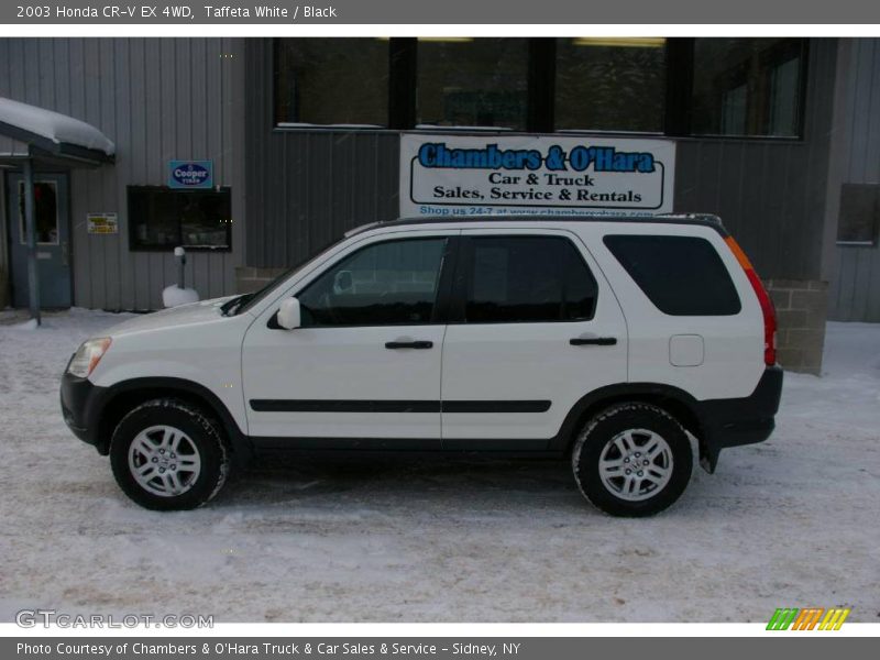 Taffeta White / Black 2003 Honda CR-V EX 4WD