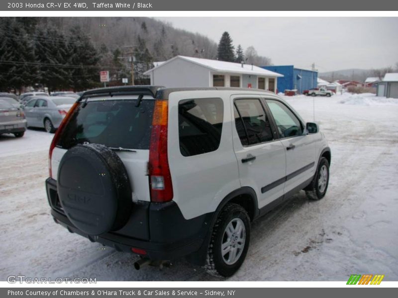 Taffeta White / Black 2003 Honda CR-V EX 4WD