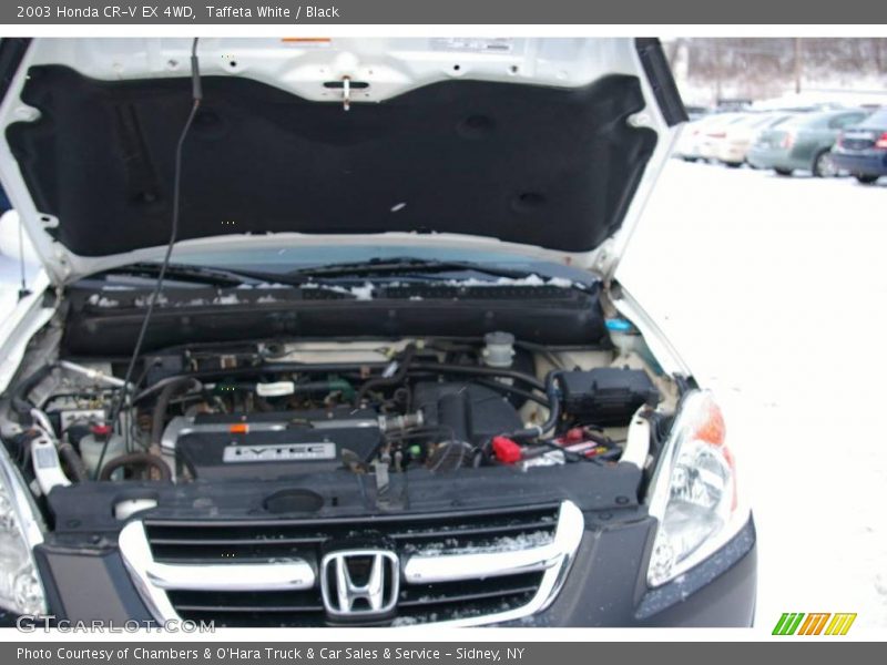 Taffeta White / Black 2003 Honda CR-V EX 4WD