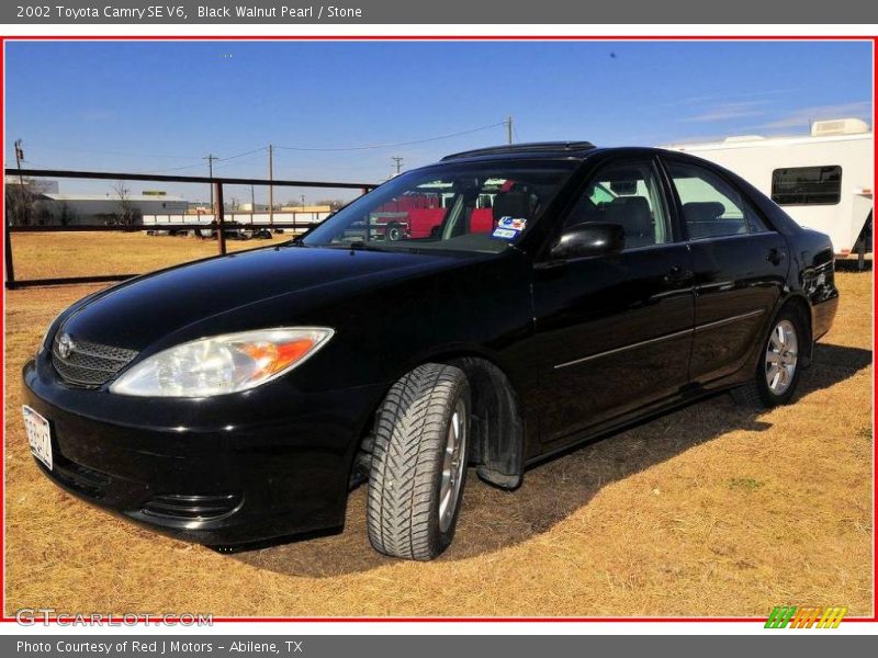 Black Walnut Pearl / Stone 2002 Toyota Camry SE V6