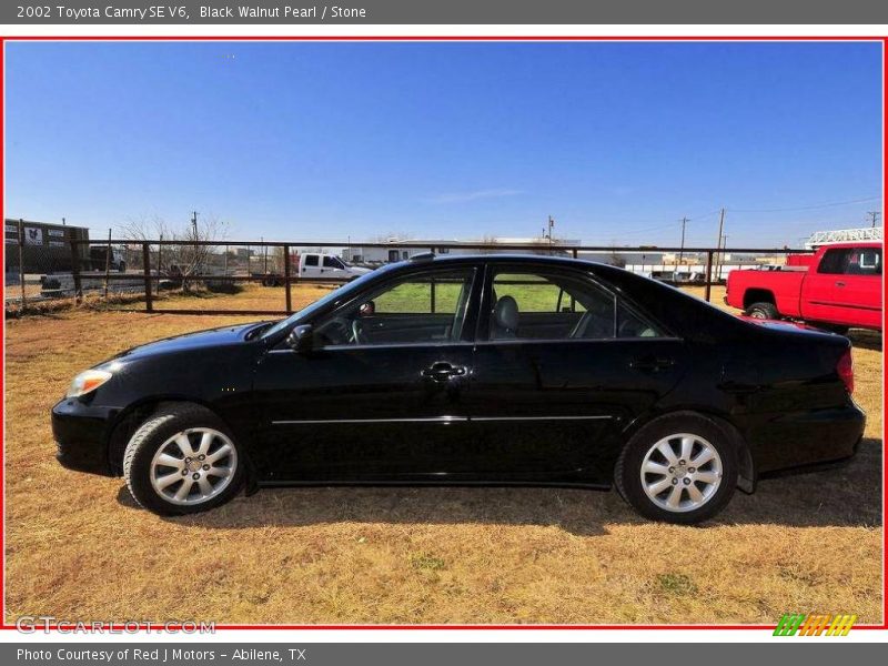 Black Walnut Pearl / Stone 2002 Toyota Camry SE V6