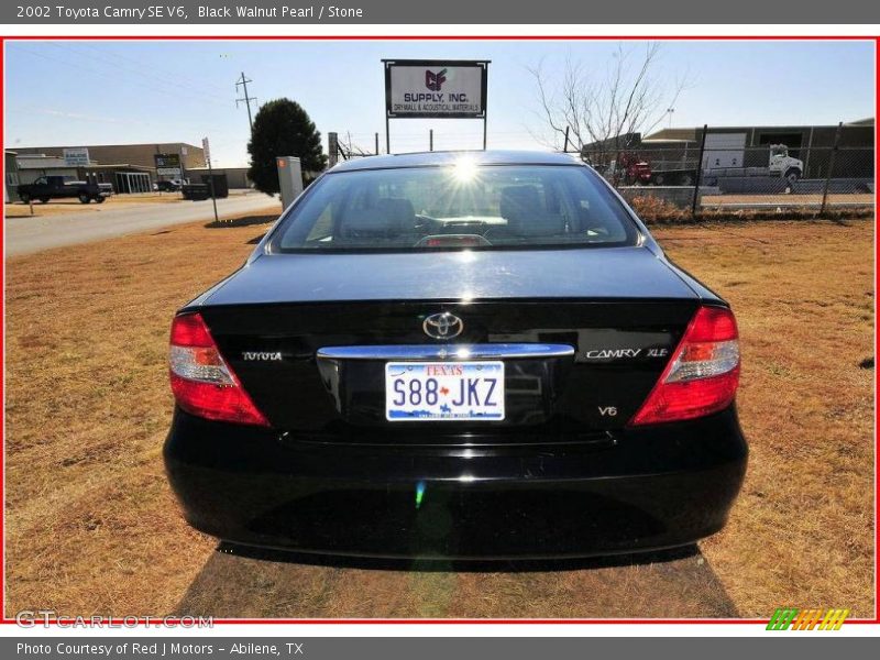 Black Walnut Pearl / Stone 2002 Toyota Camry SE V6