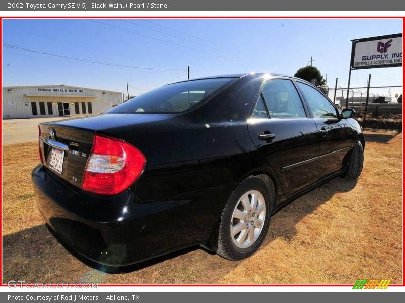 Black Walnut Pearl / Stone 2002 Toyota Camry SE V6