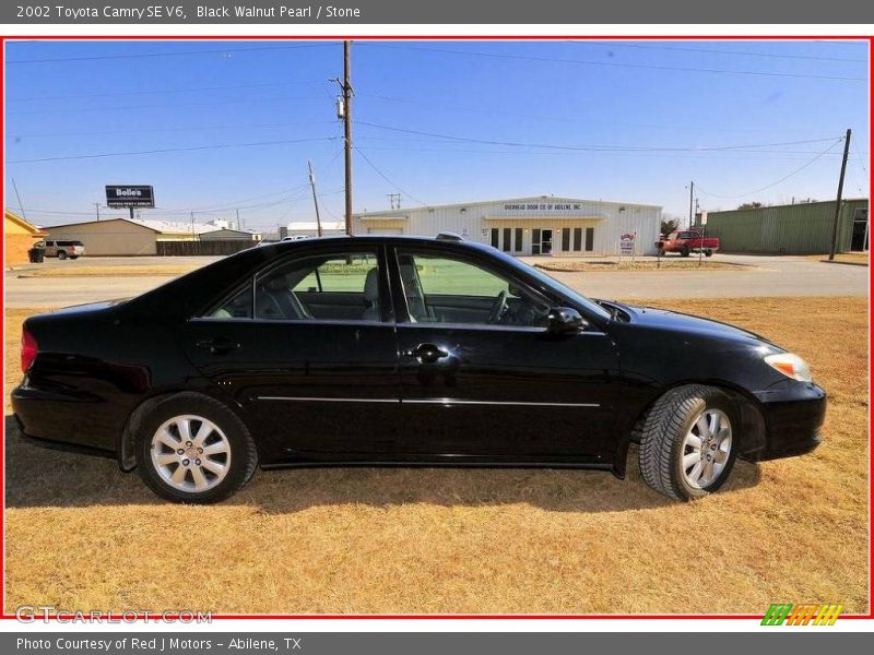 Black Walnut Pearl / Stone 2002 Toyota Camry SE V6