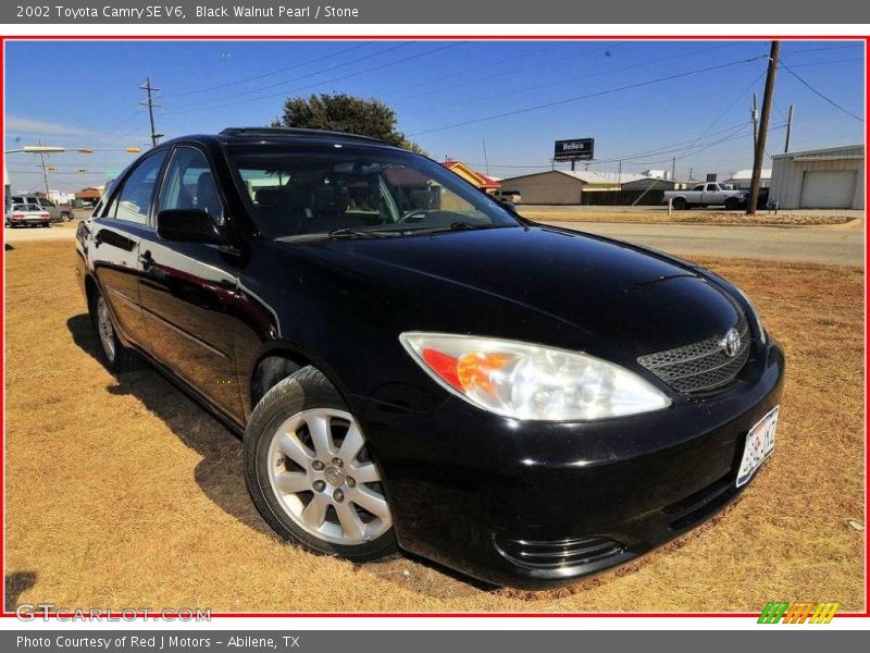 Black Walnut Pearl / Stone 2002 Toyota Camry SE V6