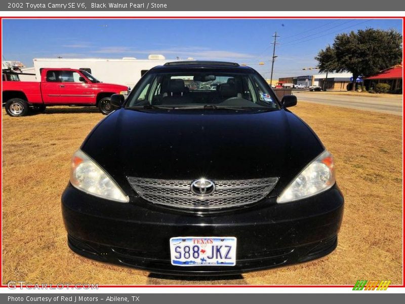 Black Walnut Pearl / Stone 2002 Toyota Camry SE V6