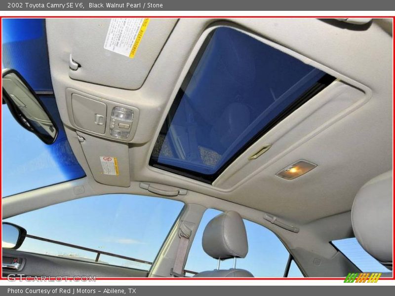Black Walnut Pearl / Stone 2002 Toyota Camry SE V6