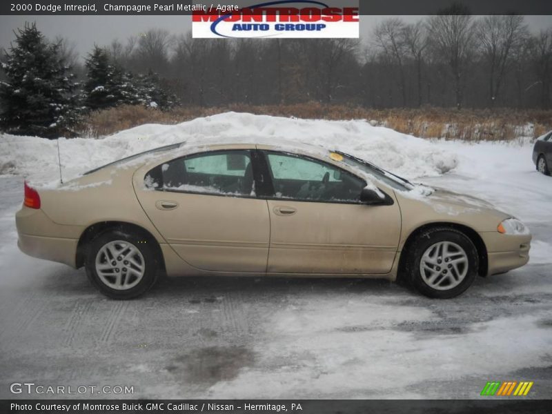 Champagne Pearl Metallic / Agate 2000 Dodge Intrepid